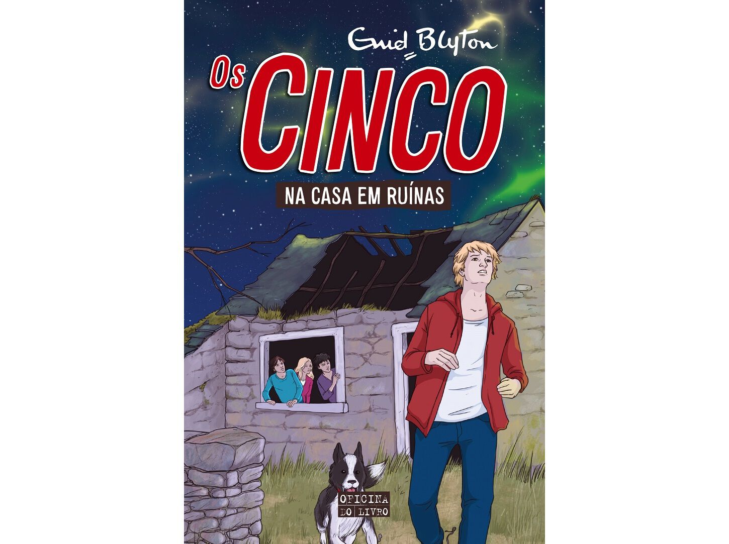 LIVRO OS CINCO N15 NA CASA EM RUINAS image number 0