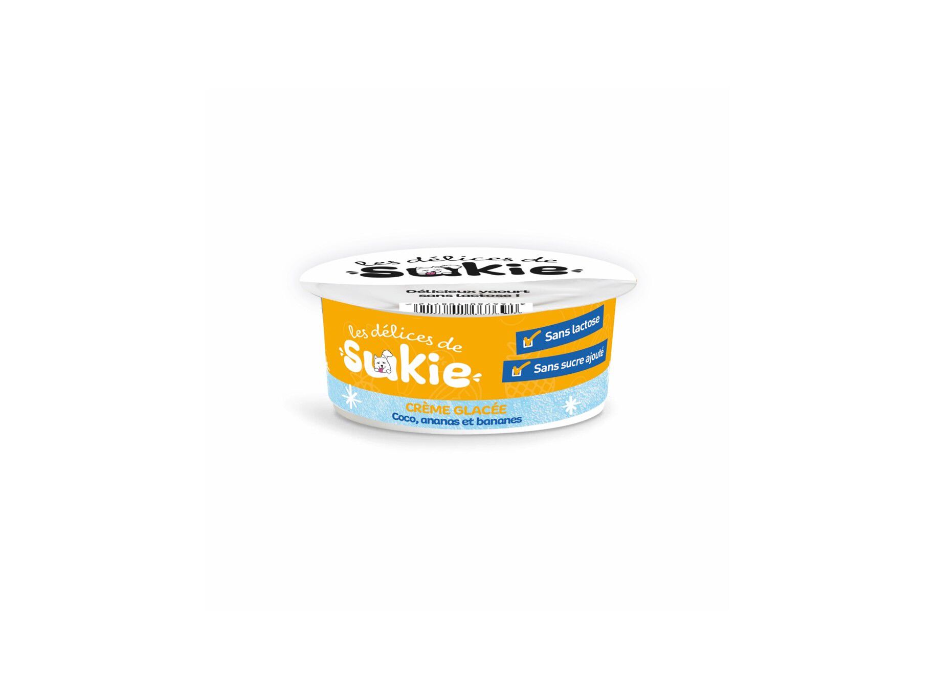 GELADO PARA C&Atilde;O RIGA COCO/ANAN&Aacute;S/BANANA 110G image number 1