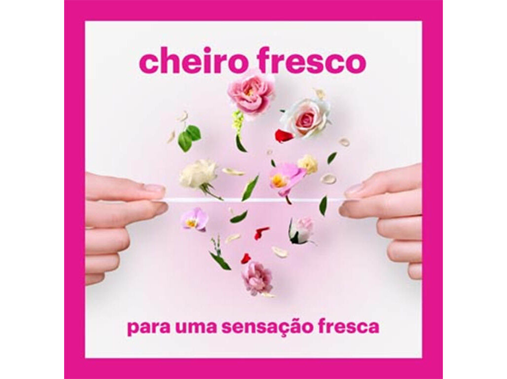 PENSOS DI&Aacute;RIOS SALVASLIP NORMAL EM BOLSINHAS EVAX 40 UN image number 1