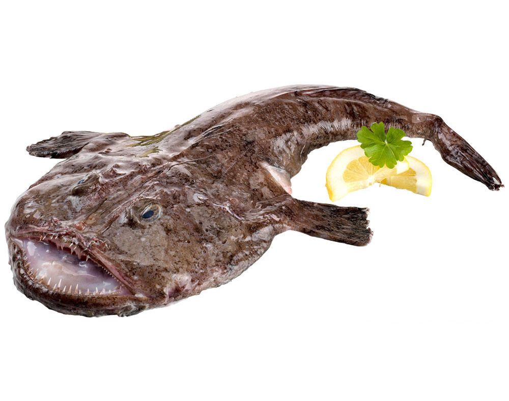 TAMBORIL KG image number 0