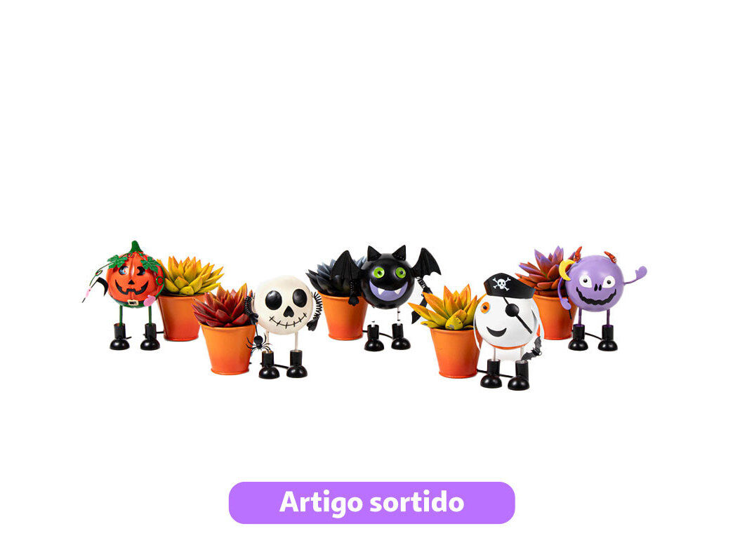 ECHEVERIA PINTADA HALLOWEEN VASO 6 MODELOS SORTIDOS