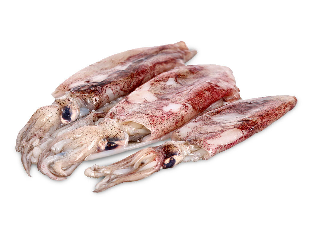 LULA COSTA FRESCA INTEIRA KG image number 0