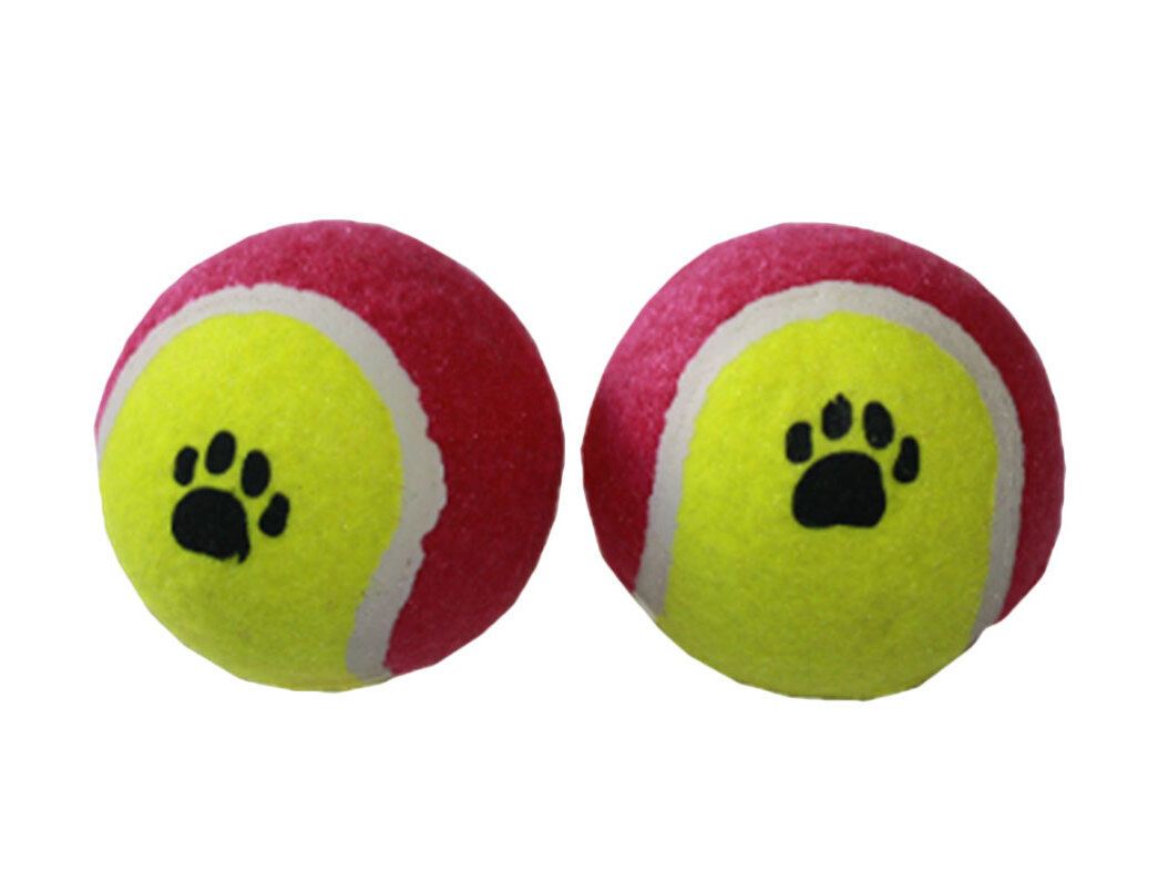 BRINQUEDO C&Atilde;O BOLA TENIS BLISTER 2UNID