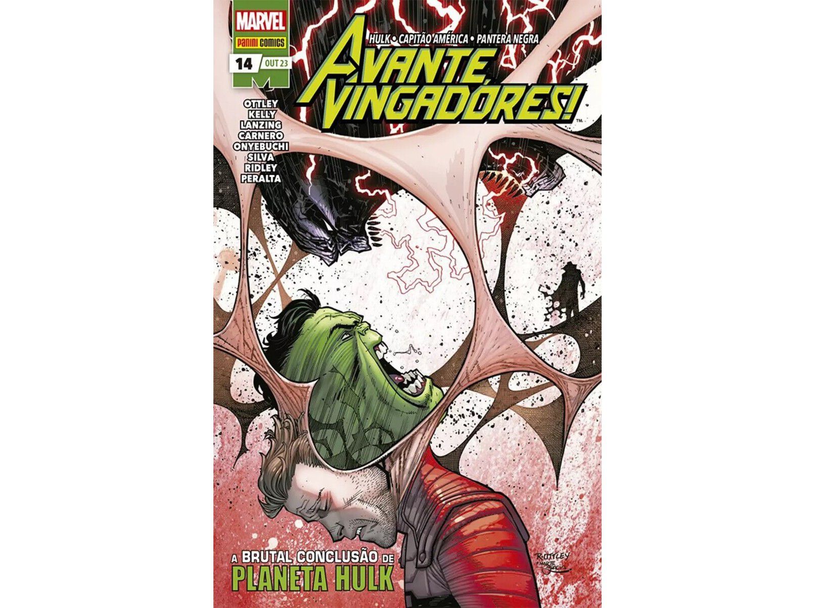 LIVRO AVANTE VINGADORES 14 image number 0