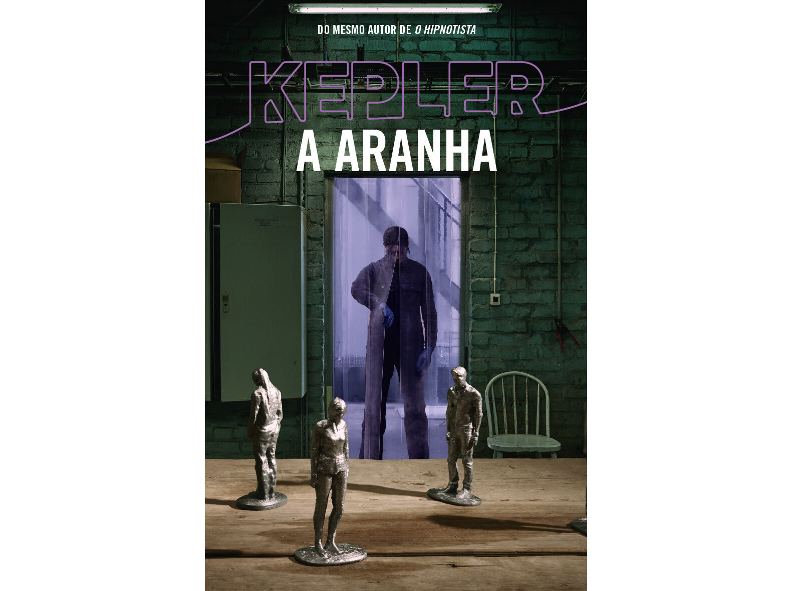 LIVRO A ARANHA image number 0