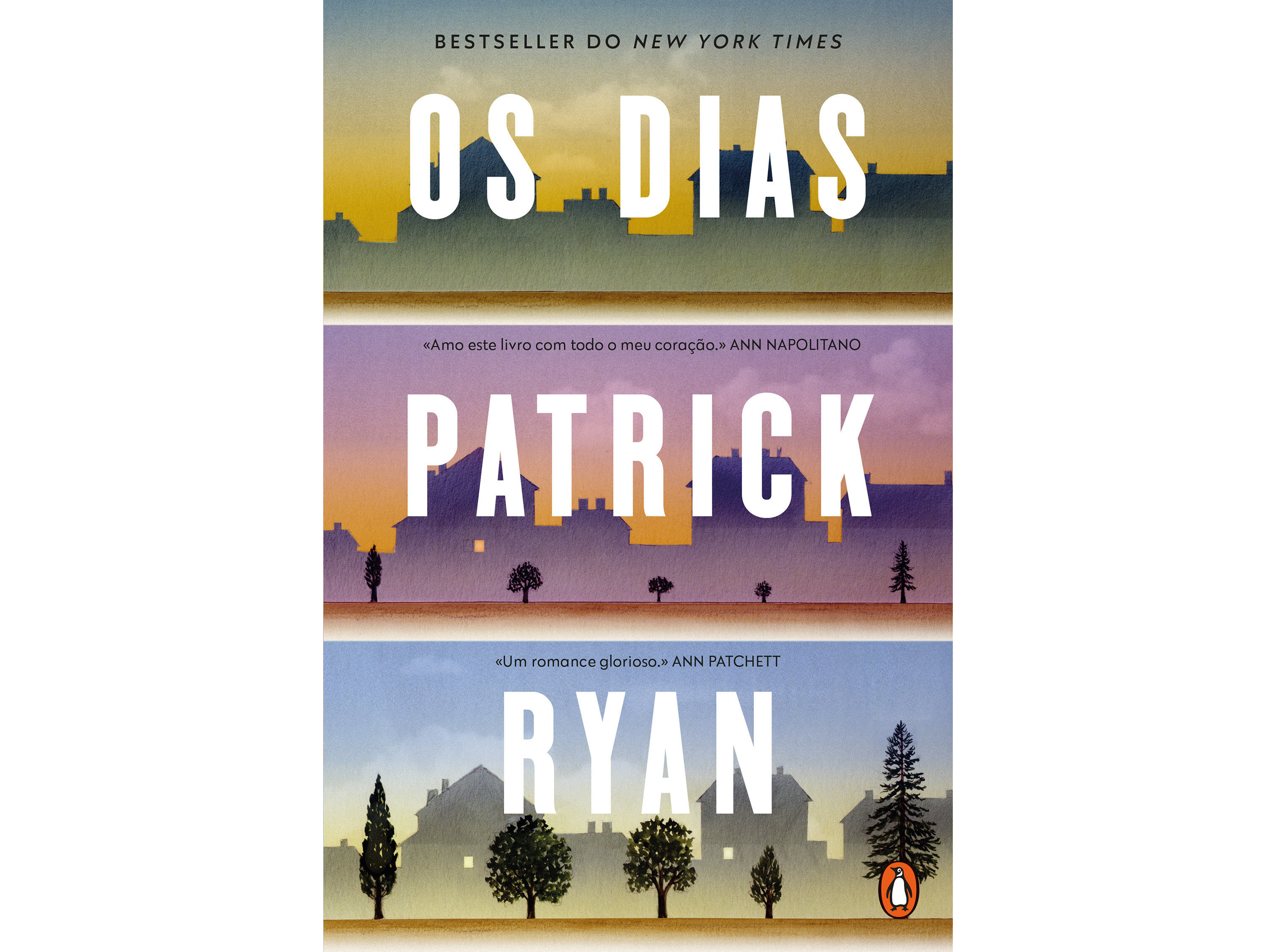 LIVRO OS DIAS DE PATRICK RYAN image number 0