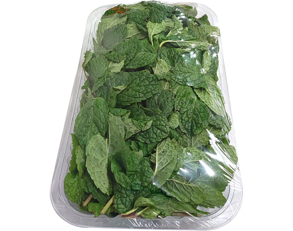 HORTEL&Atilde; FRESCA 100G