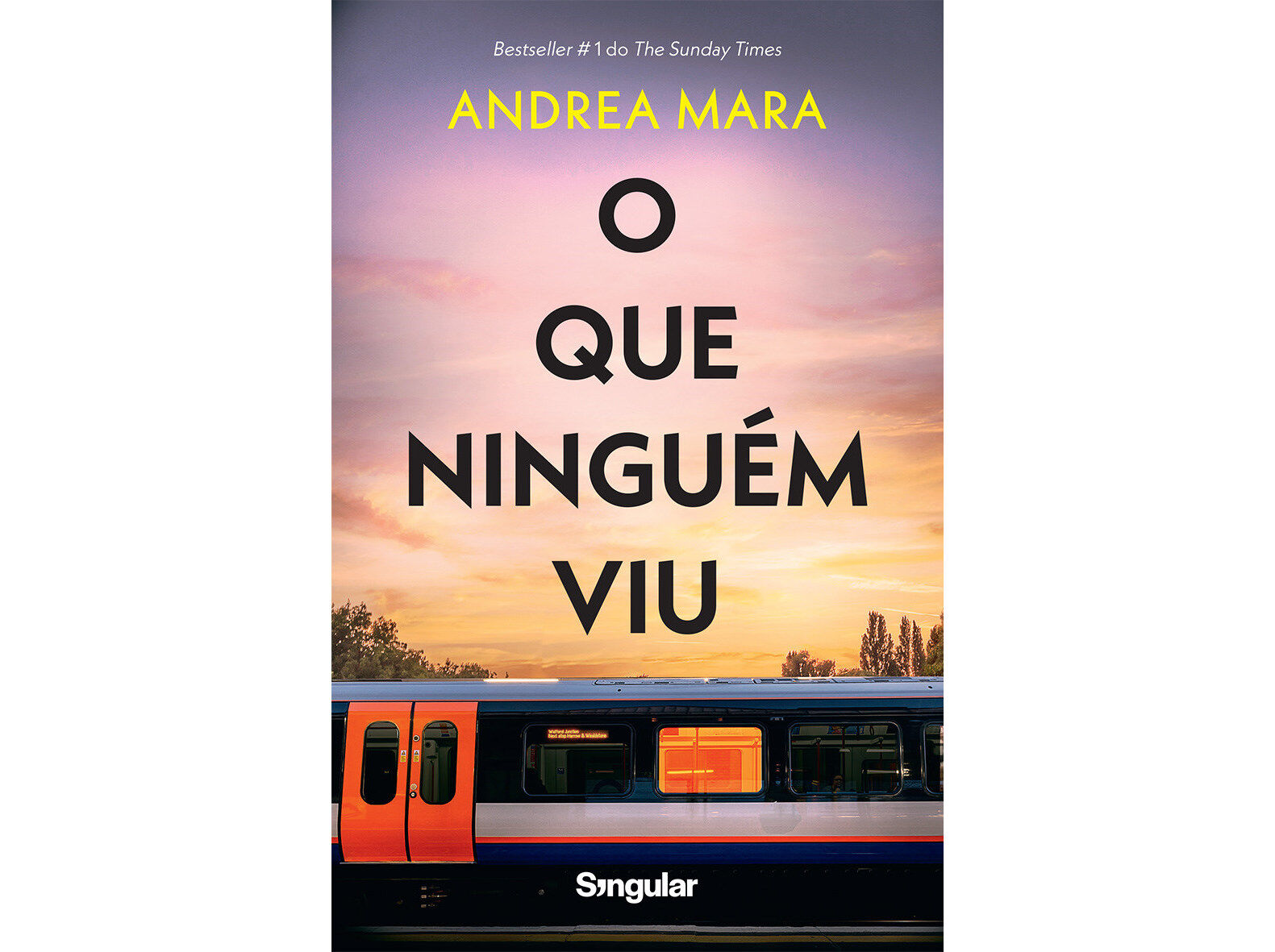 LIVRO O QUE NINGU&Eacute;M VIU DE ANDREA MARA image number 1