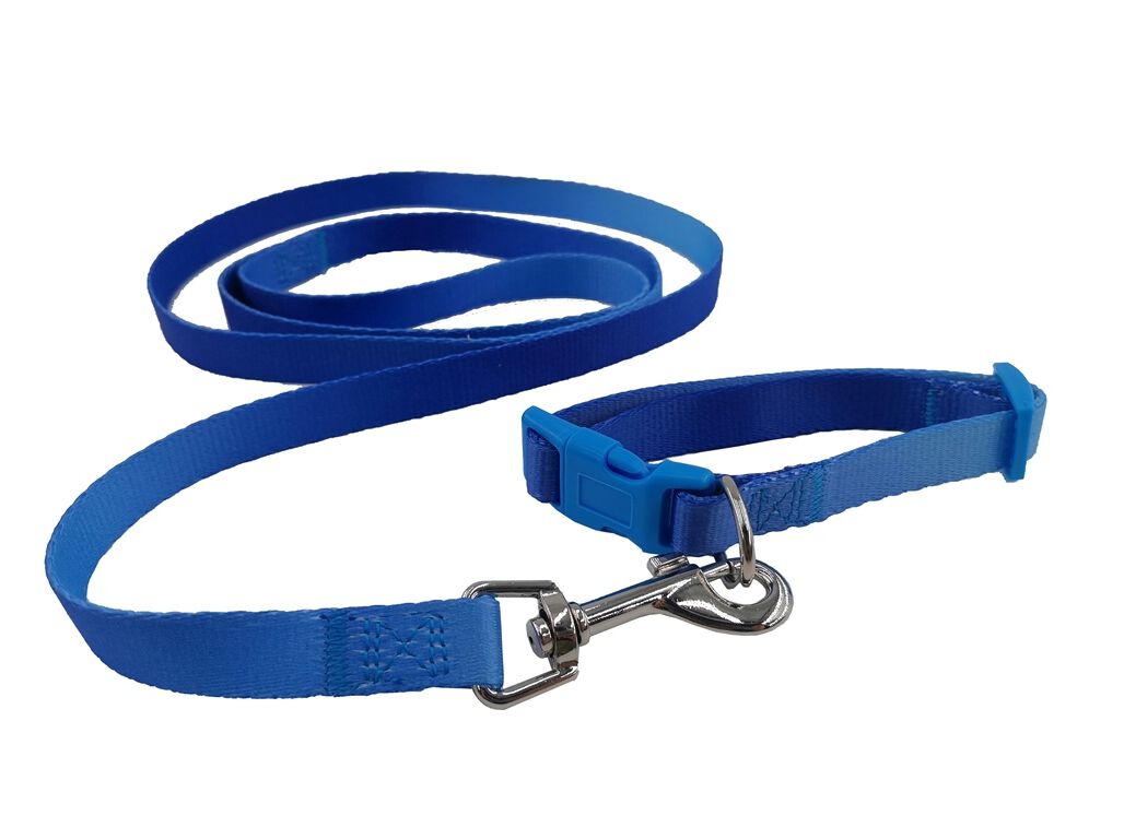 COLEIRA 25-35CM AUCHAN AZUL + TRELA 1.5X120CM image number 0