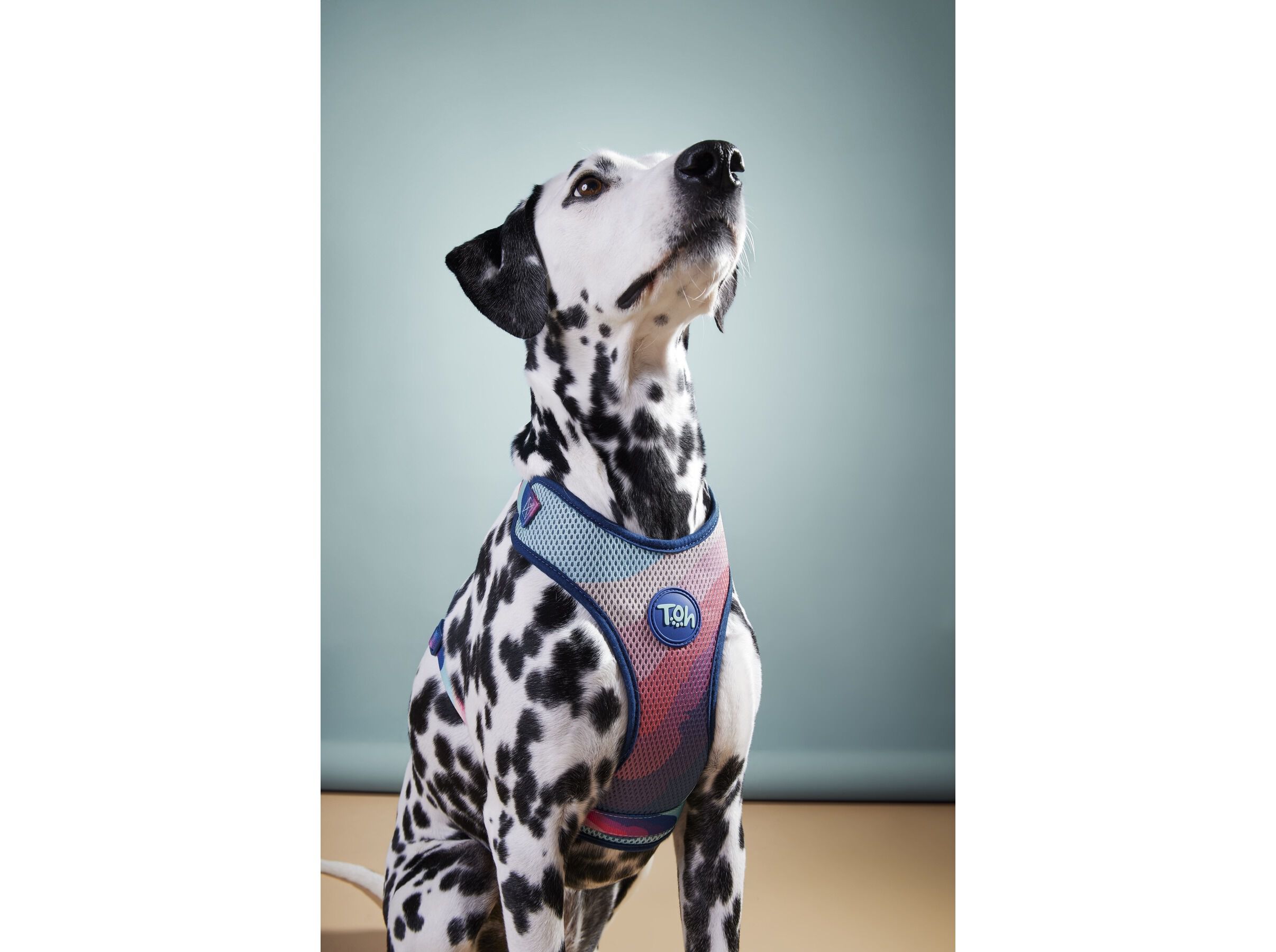 PEITORAL MESH COM TRELA TOH ALPACA L image number 1