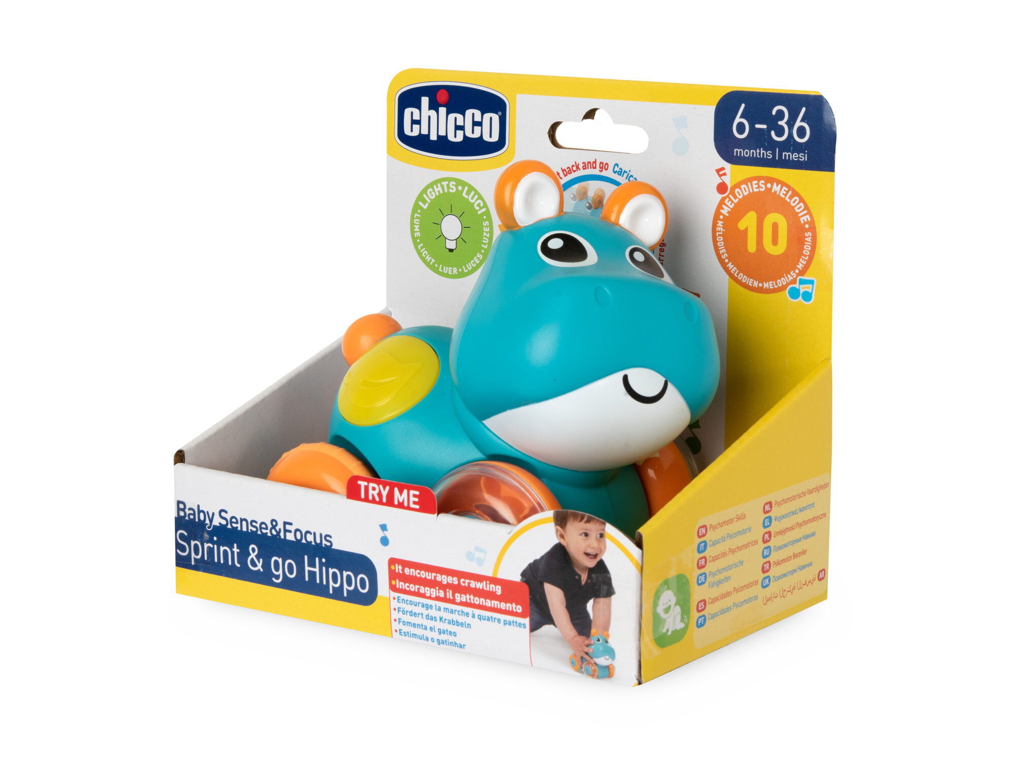 HIPPO EMPURRA & ANDA CHICCO image number 1