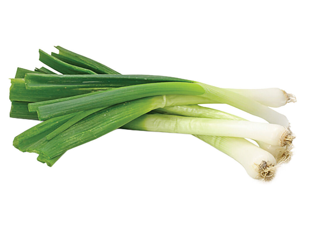 ALHO FRANC&Ecirc;S BIO KG