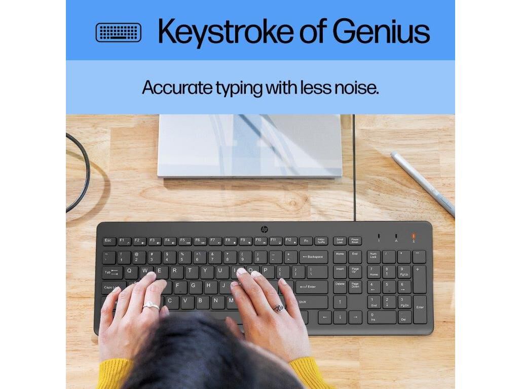 KIT TECLADO + RATO C/ FIOS HP 150 image number 2