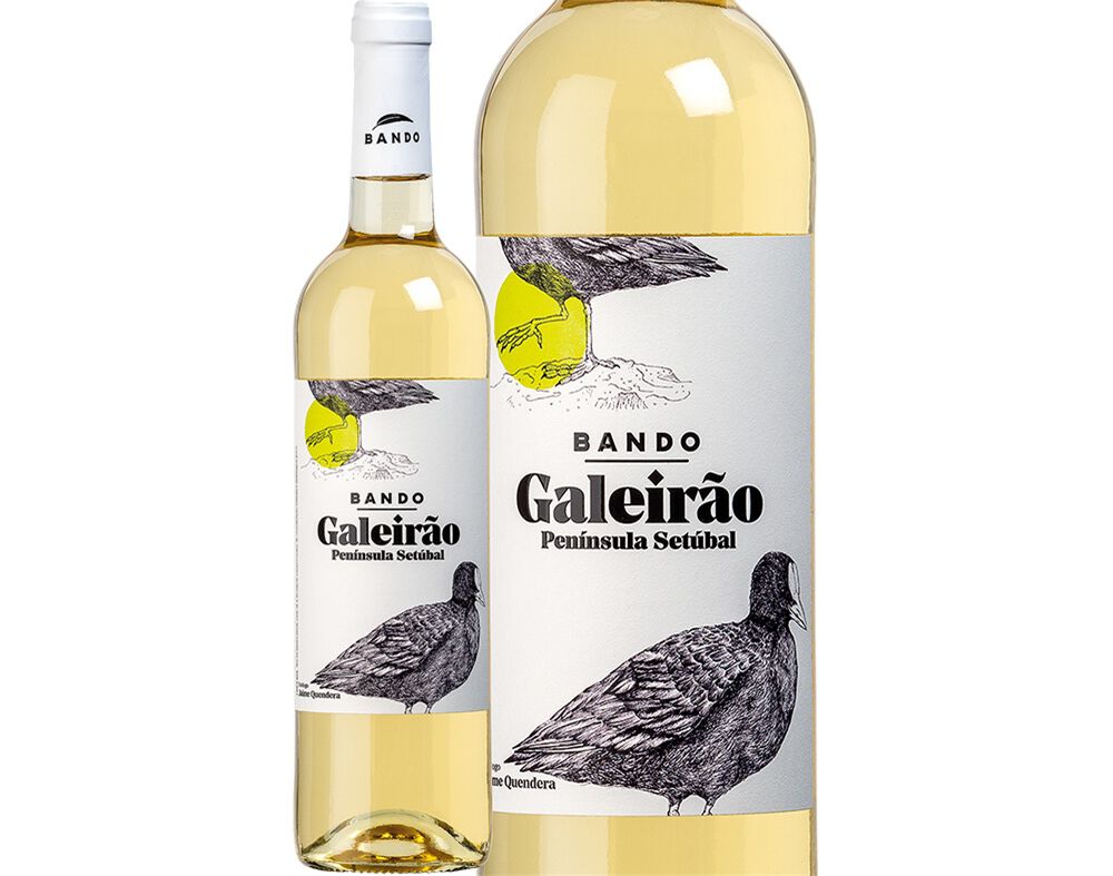 VINHO BRANCO BANDO GALEIR&Atilde;O REGIONAL SET&Uacute;BAL 0.75L