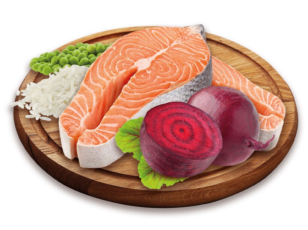 RA&Ccedil;&Atilde;O C&Atilde;O PETFIELD PREMIUM SALM&Atilde;O/ARROZ 4KG image number 1