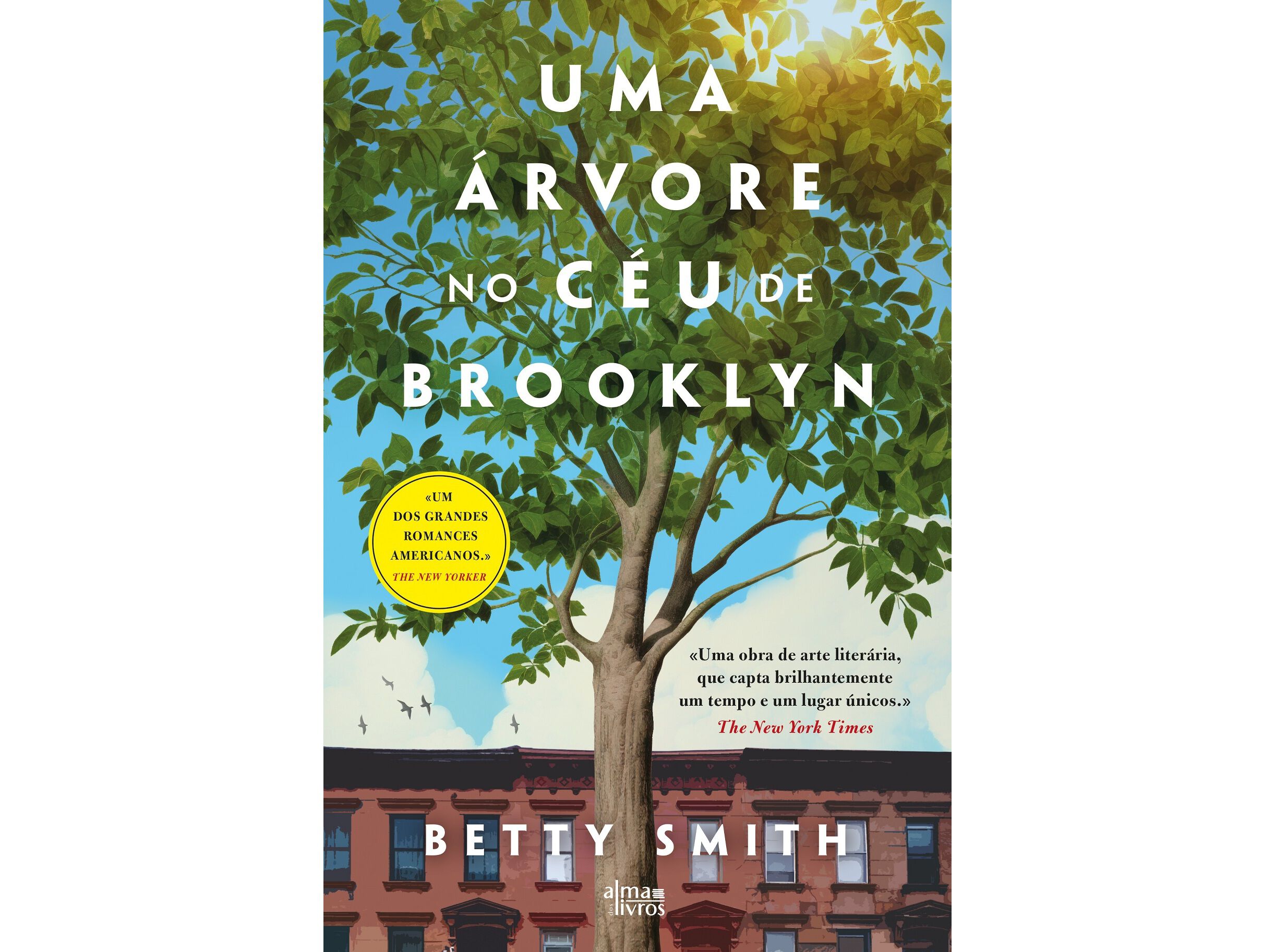 LIVRO UMA &Aacute;RVORE NO C&Eacute;U DE BROOKLIN DE BETTY SMITH image number 0