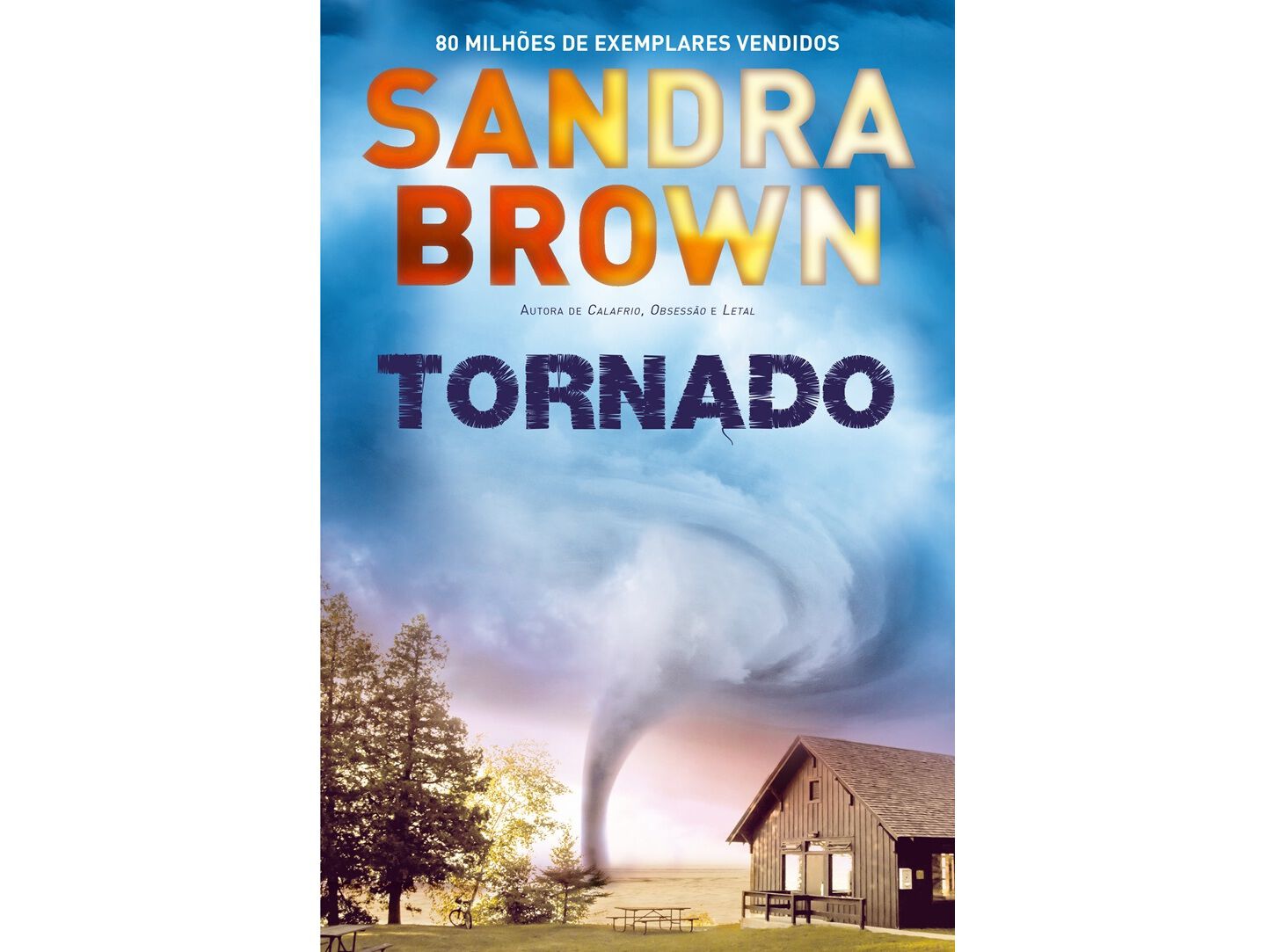 LIVRO TORNADO DE: SANDRA BROWN image number 0