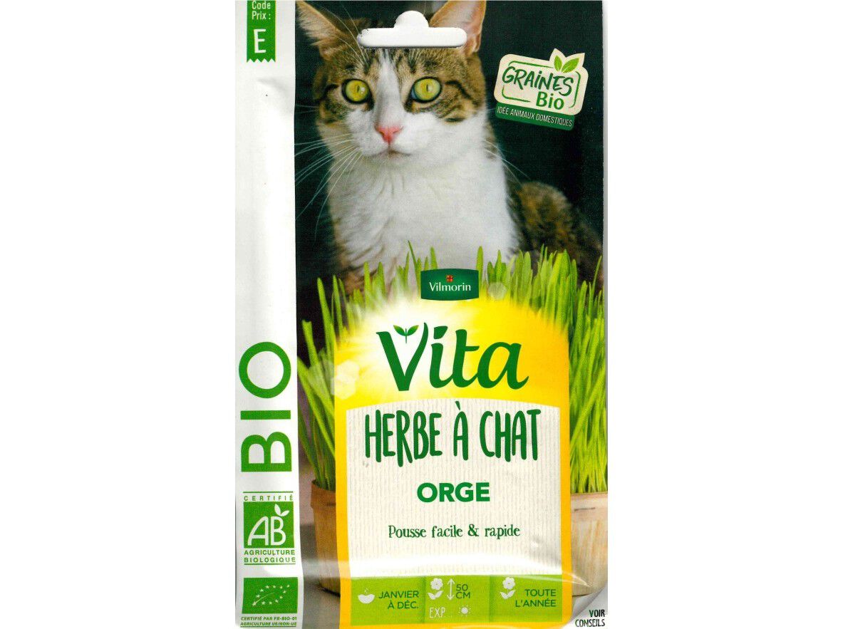 SEMENTES HORTICOLAS VITA BIO ERVA DE GATOS image number 1