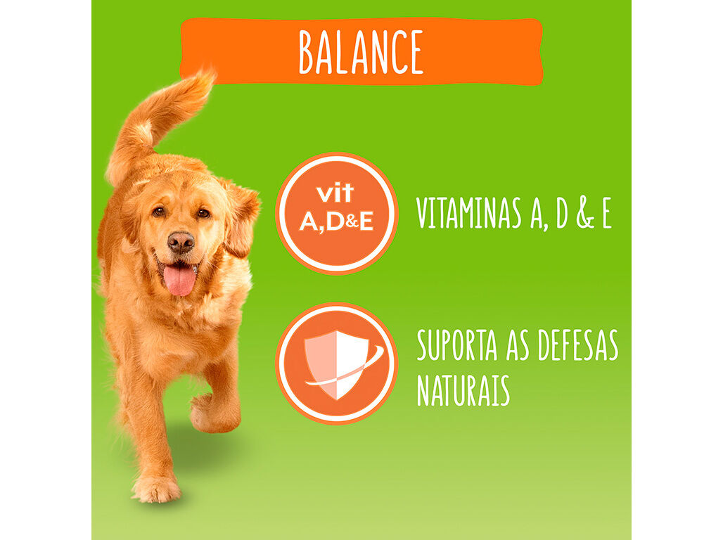 RA&Ccedil;&Atilde;O PARA C&Atilde;O FRISKIES BALANCE 9KG image number 3