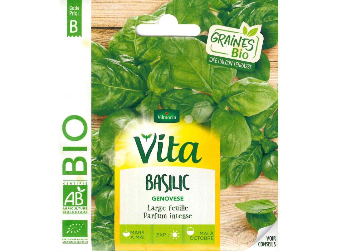 SEMENTES HORTICOLAS VITA BIO MANJERICAO