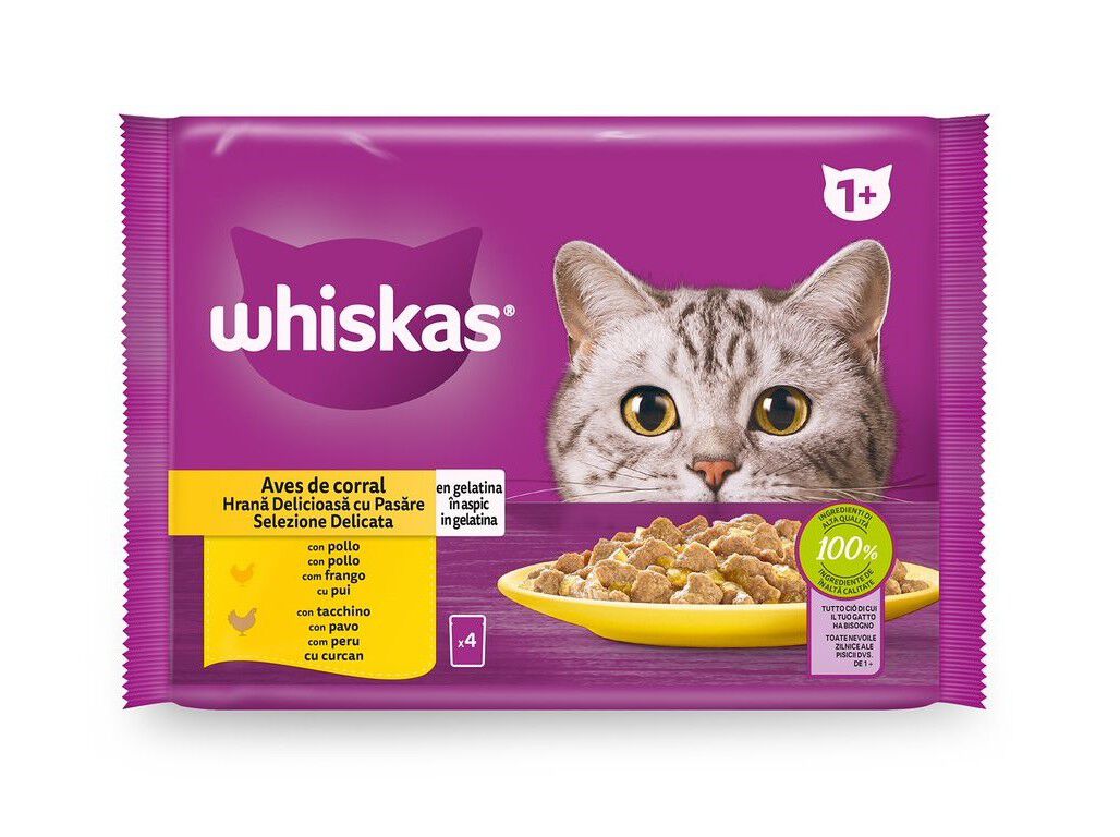 COMIDA H&Uacute;MIDA PARA GATO WHISKAS AVES 4X85G image number 1