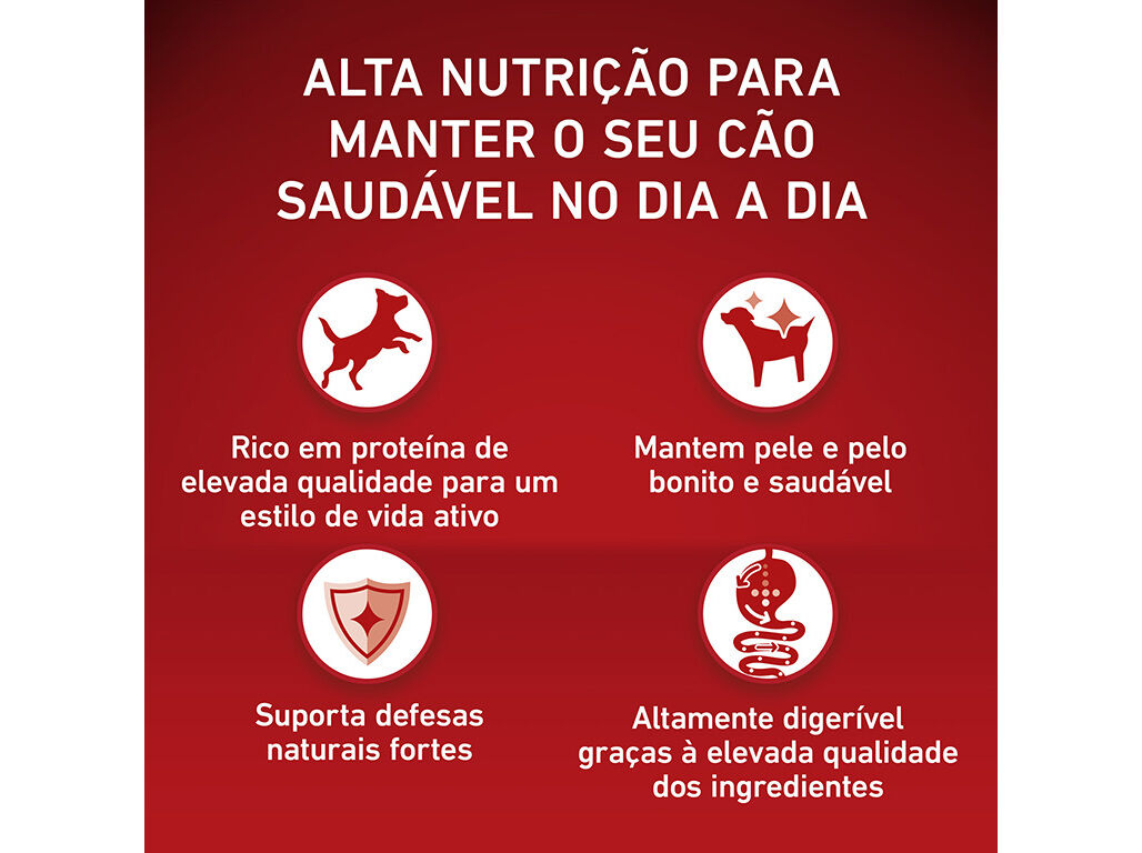 RA&Ccedil;&Atilde;O PARA C&Atilde;O PURINA ONE MINI ADULTO COM VACA 1.5KG image number 4