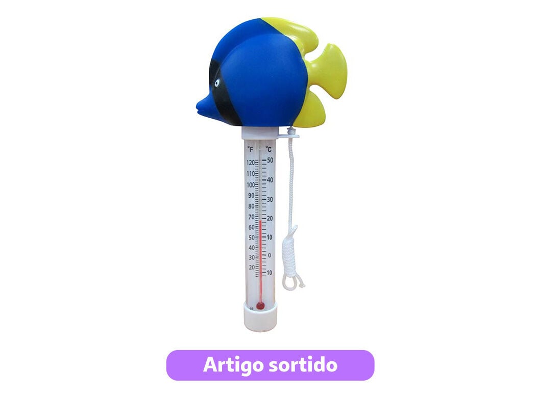 TERM&Oacute;METRO PARA PISCINA GARDENSTAR COM PEIXE DECORATIVO MODELOS SORTIDOS image number 2