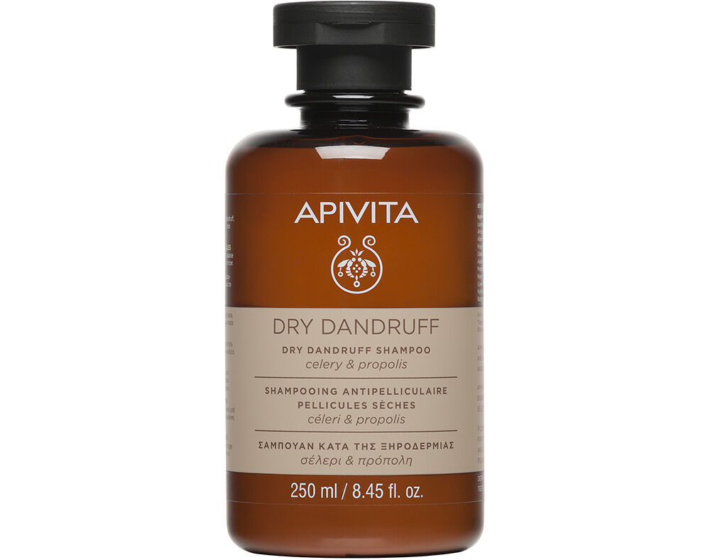 CHAMP&Ocirc; APIVITA ANTI-CASPA SECO 250ML image number 0