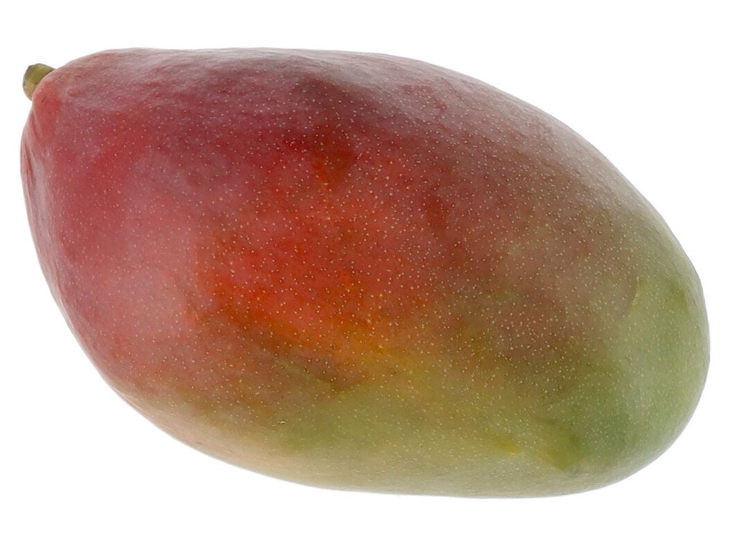 MANGA PALMER MATURADA KG