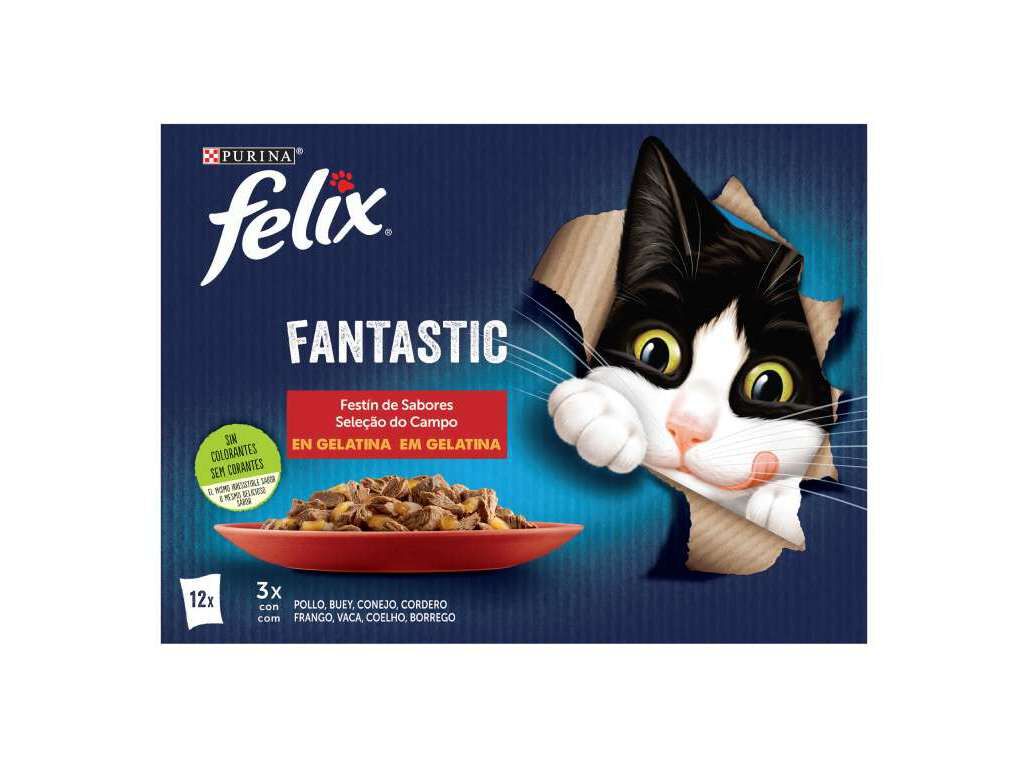 COMIDA H&Uacute;MIDA PARA GATO FELIX FANTASTIC CARNE 12X85G image number 1