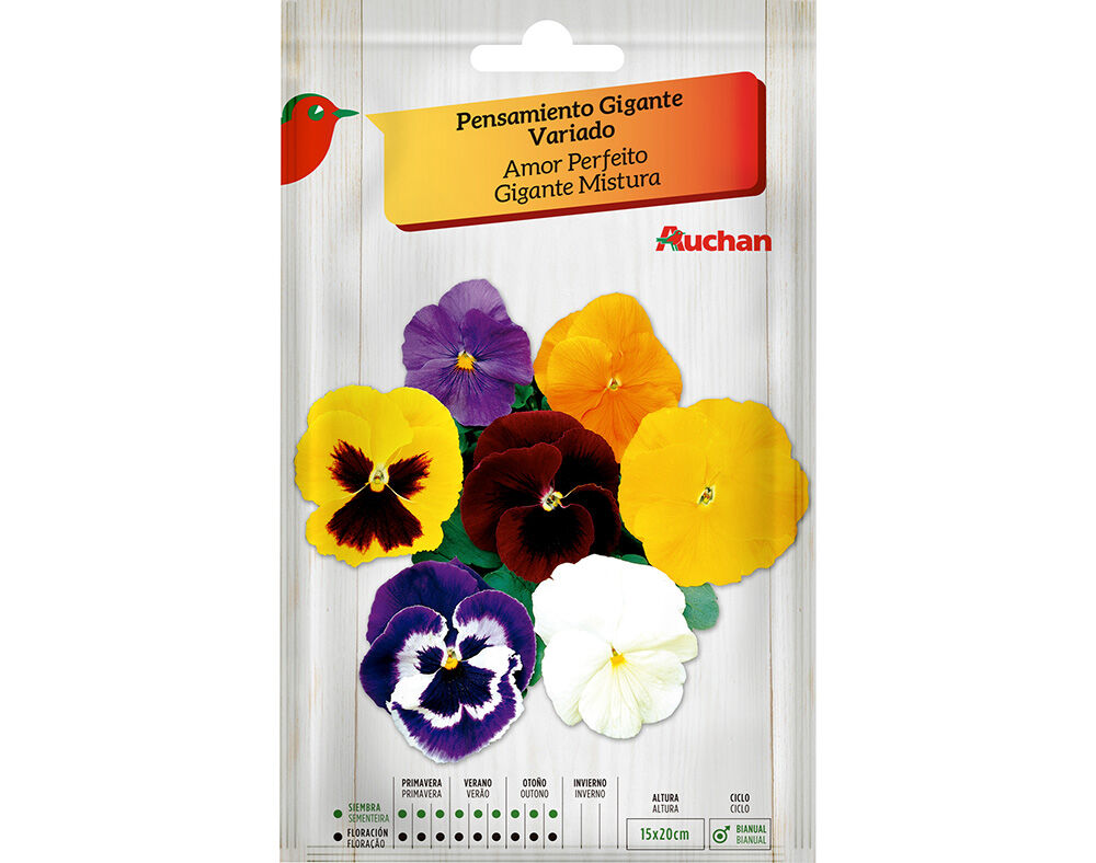 SEMENTE AUCHAN AMOR PERFEITO