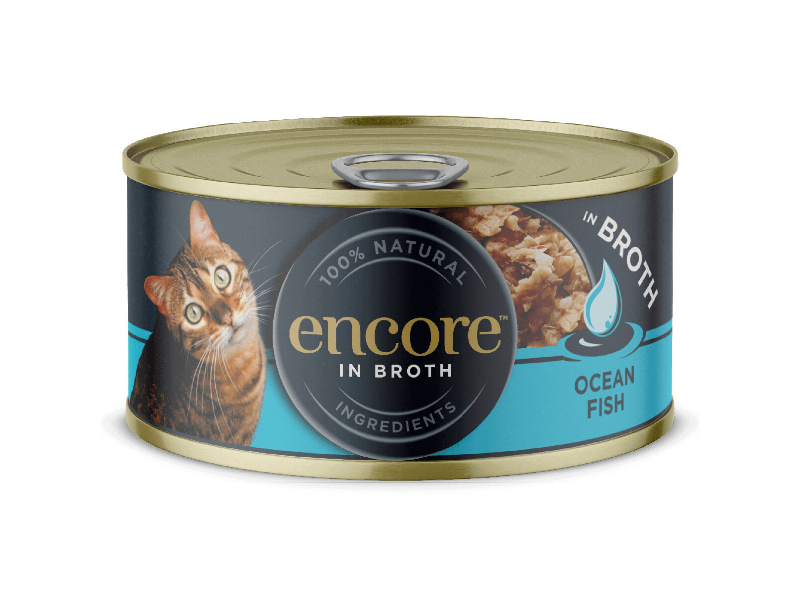 COMIDA H&Uacute;MIDA GATO ENCORE PEIXE DO OCEANO 70G image number 0