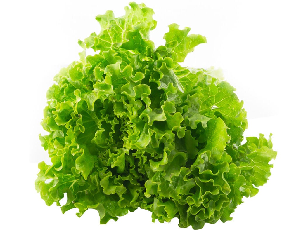 ALFACE FRISADA KG PRODUTO LOCAL