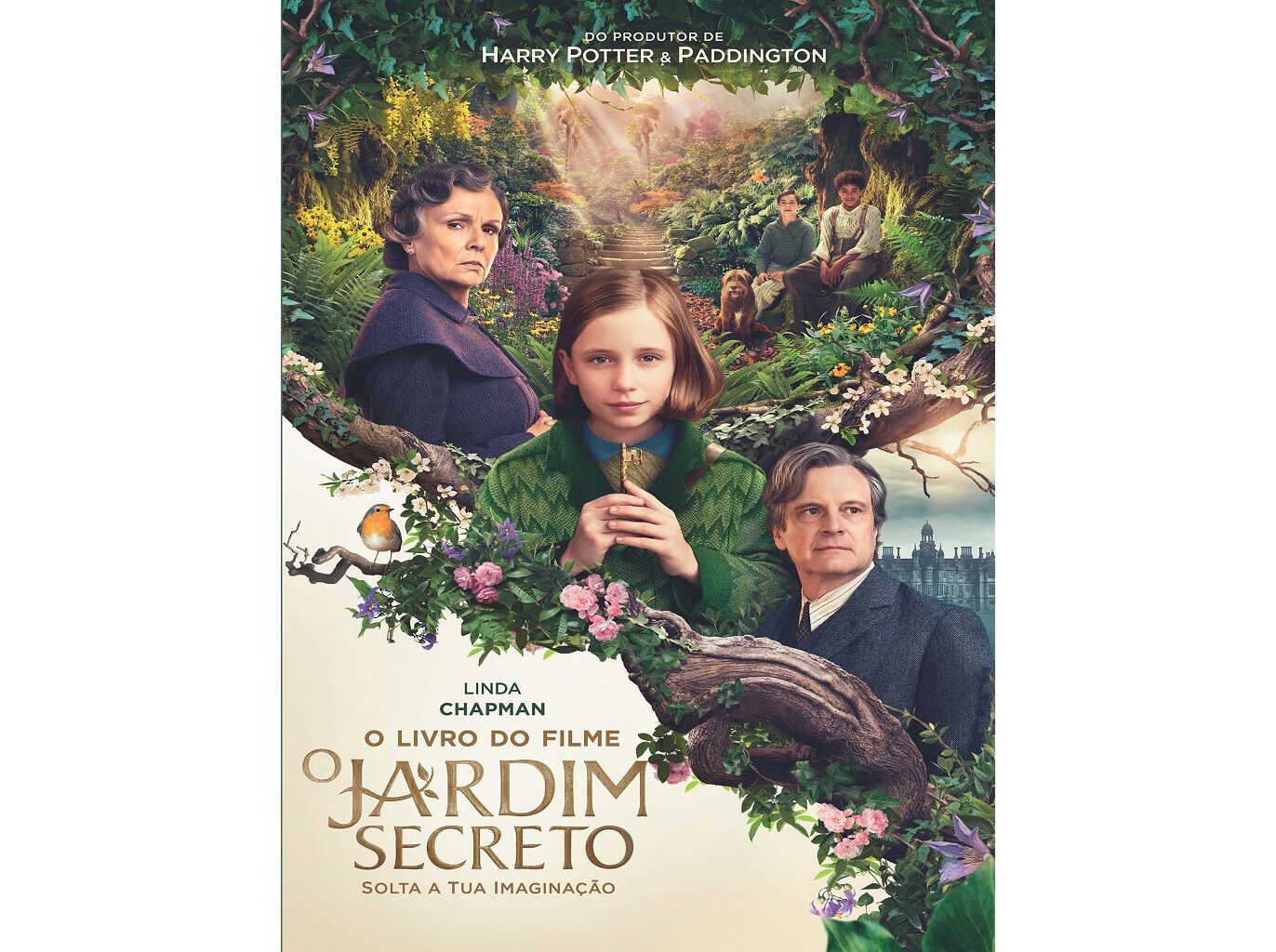 LIVRO O JARDIM SECRETO O LIVRO DO FILME image number 0