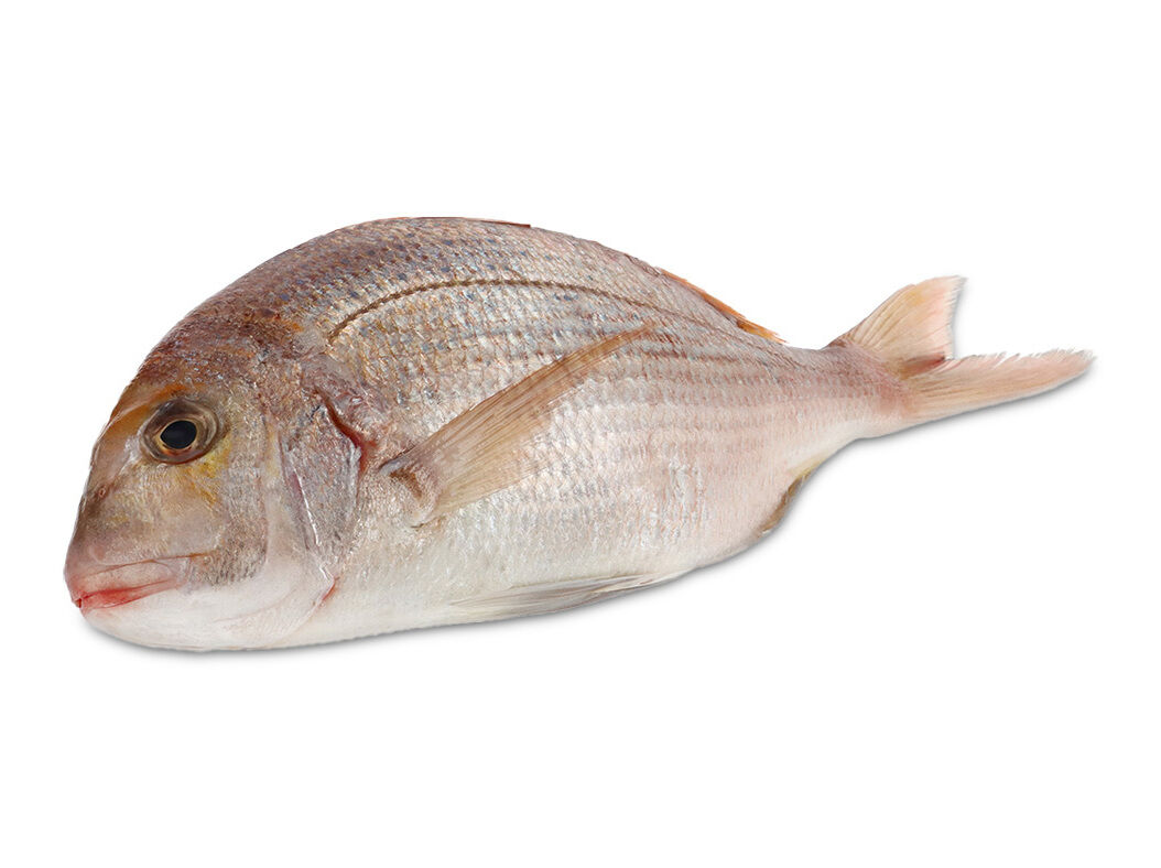 PARGO PEQUENO KG image number 0