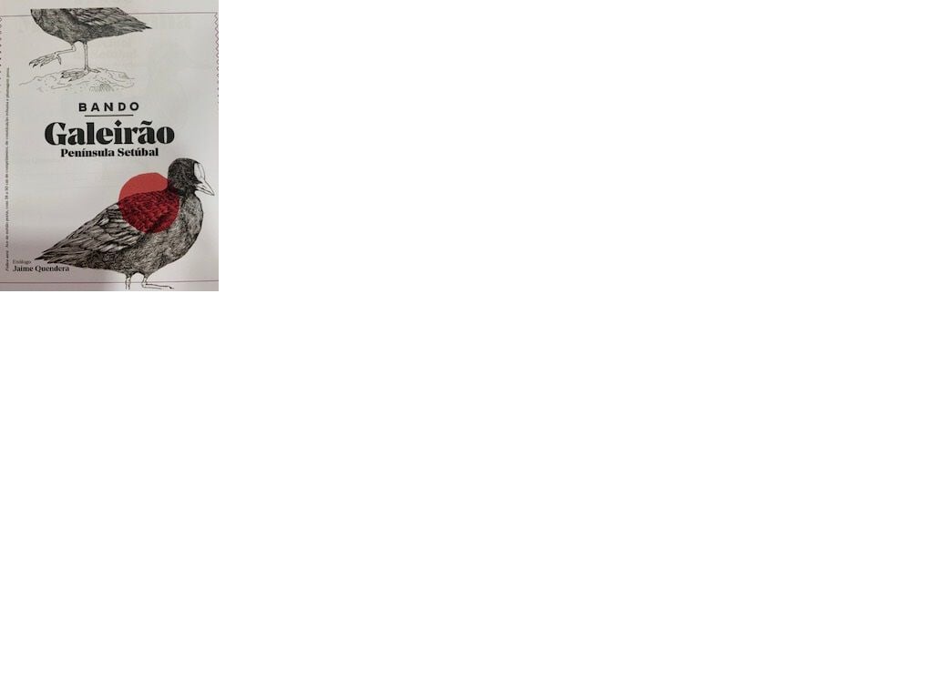 VINHO ROS&Eacute; BANDO GALEIR&Atilde;O SET&Uacute;BAL 0.75L image number 1