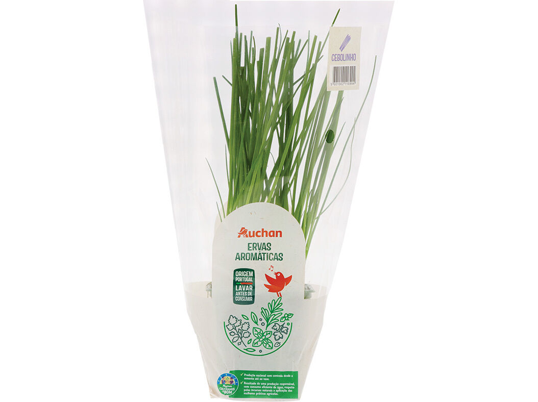 CEBOLINHO VASO AUCHAN CULTIVAMOS O BOM image number 0