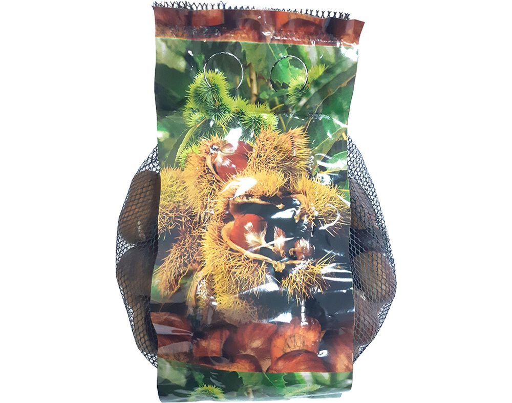 CASTANHA MARTAINHA 50/60 1KG image number 0