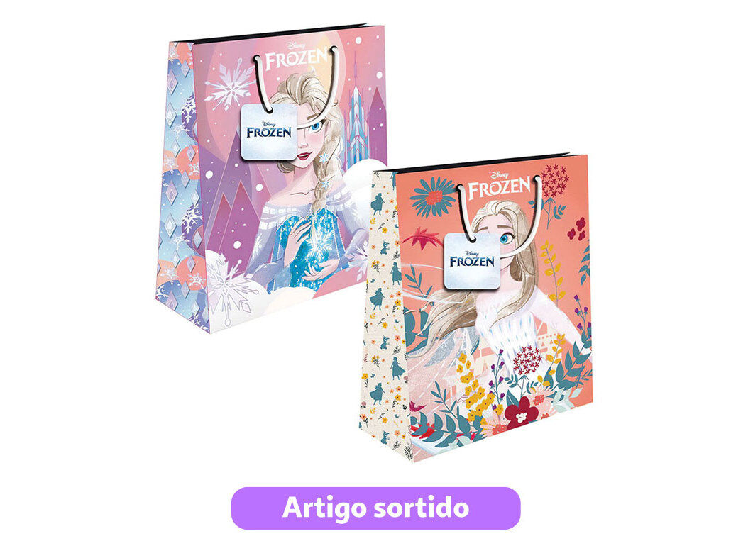 SACO EMBRULHO FROZEN PEQUENO 18X23X11CM MODELOS SORTIDOS image number 0