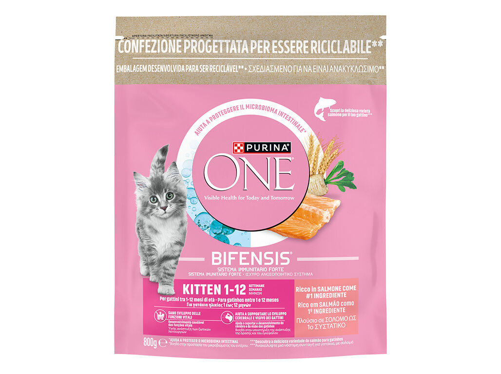 RA&Ccedil;&Atilde;O GATO PURINA ONE JUNIOR SALM&Atilde;O 800G image number 1