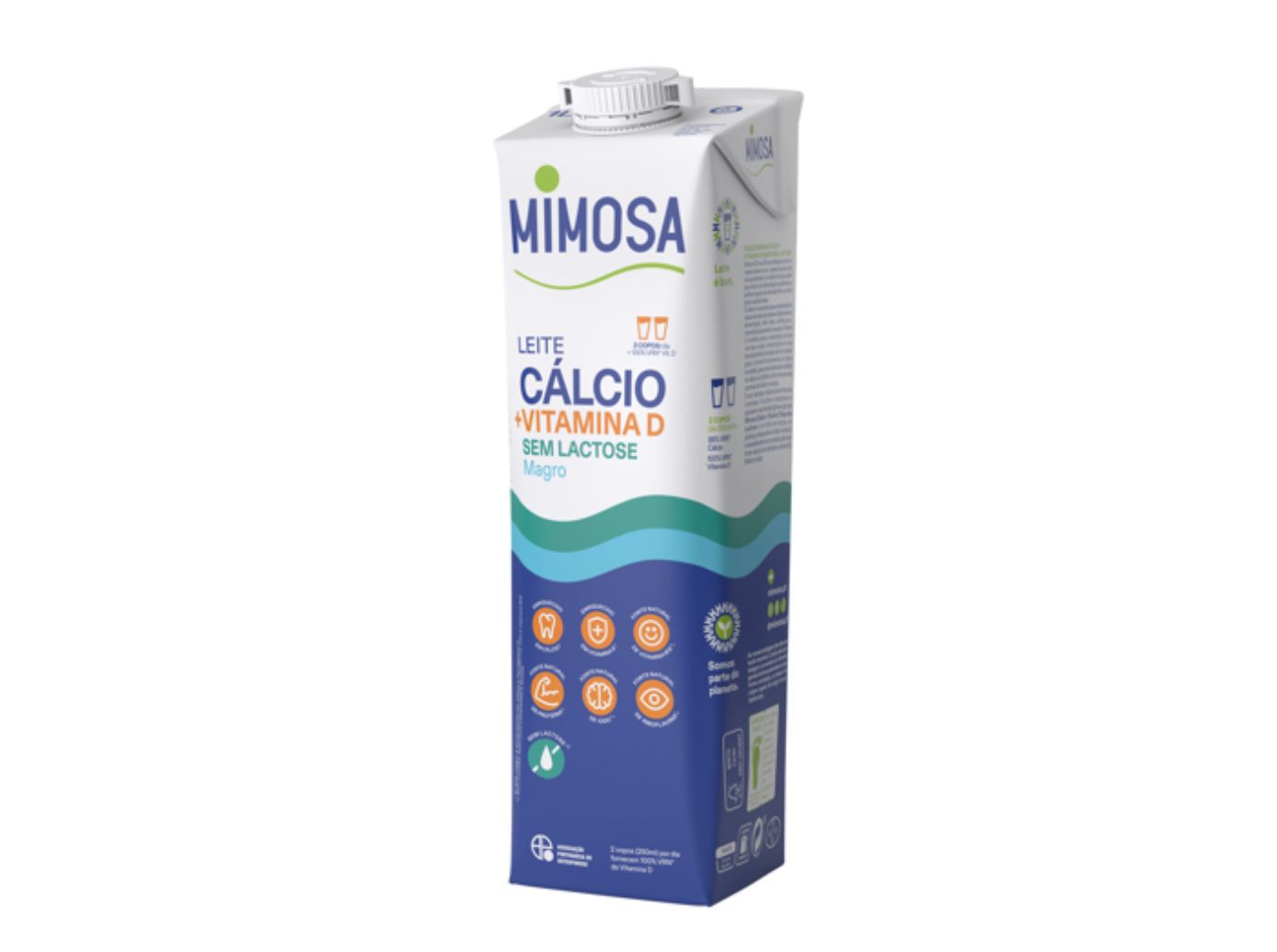 LEITE S/ LACTOSE MIMOSA MAGRO 1 L
