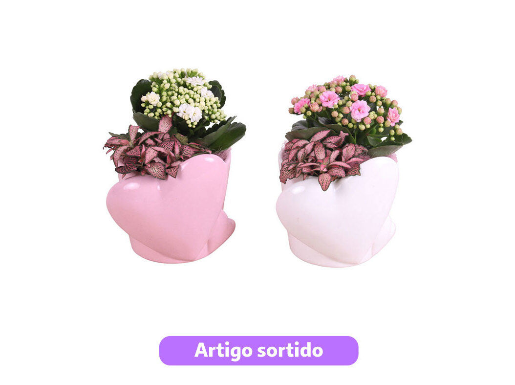 ARRANJO DIA DA M&Atilde;E EM VASO CORA&Ccedil;&Atilde;O VASO 16 MODELOS SORTIDOS