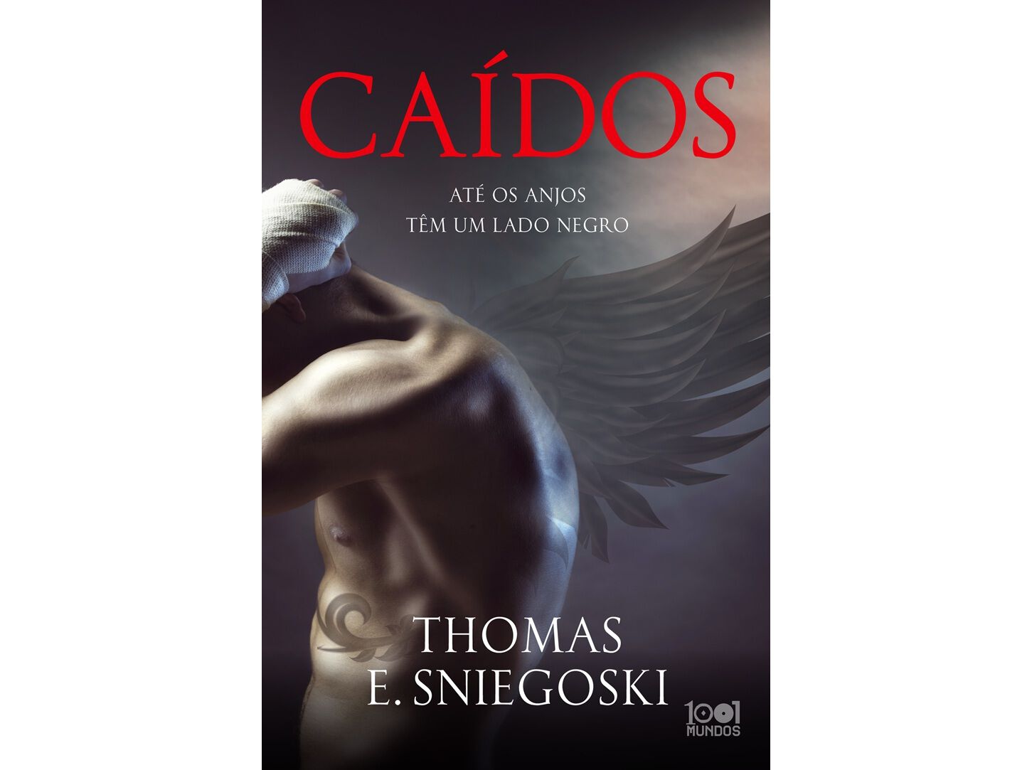 LIVRO CA&Iacute;DOS DE: THOMAS E. SNIEGOSKI image number 0