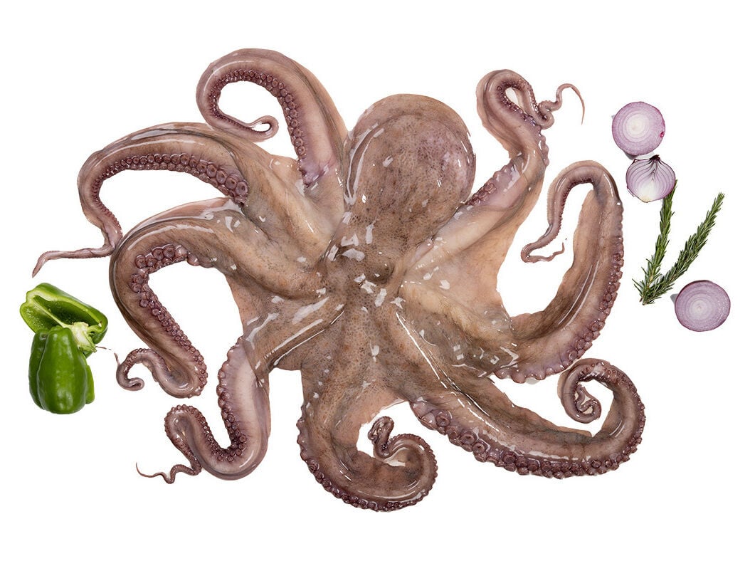 POLVO NACIONAL AUCHAN CONGELADO (3 A 4 KG) image number 2