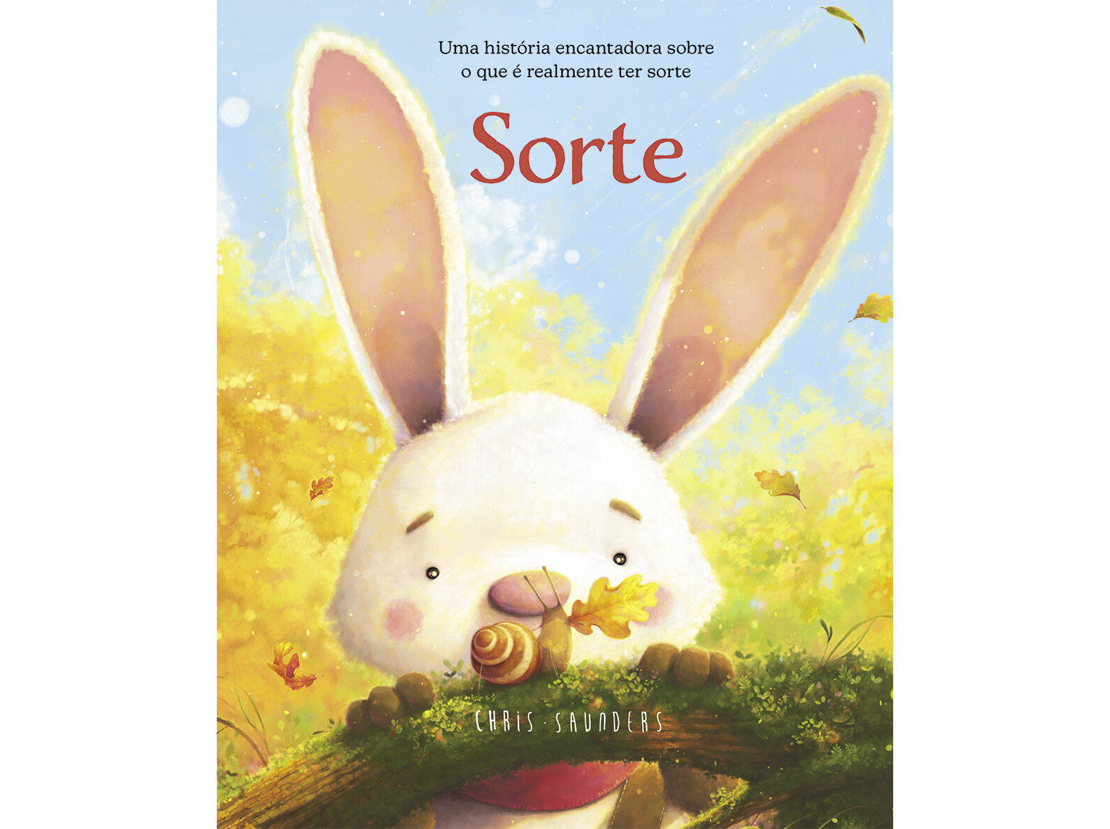 LIVRO SORTE DE CHRIS SAUNDERS image number 0