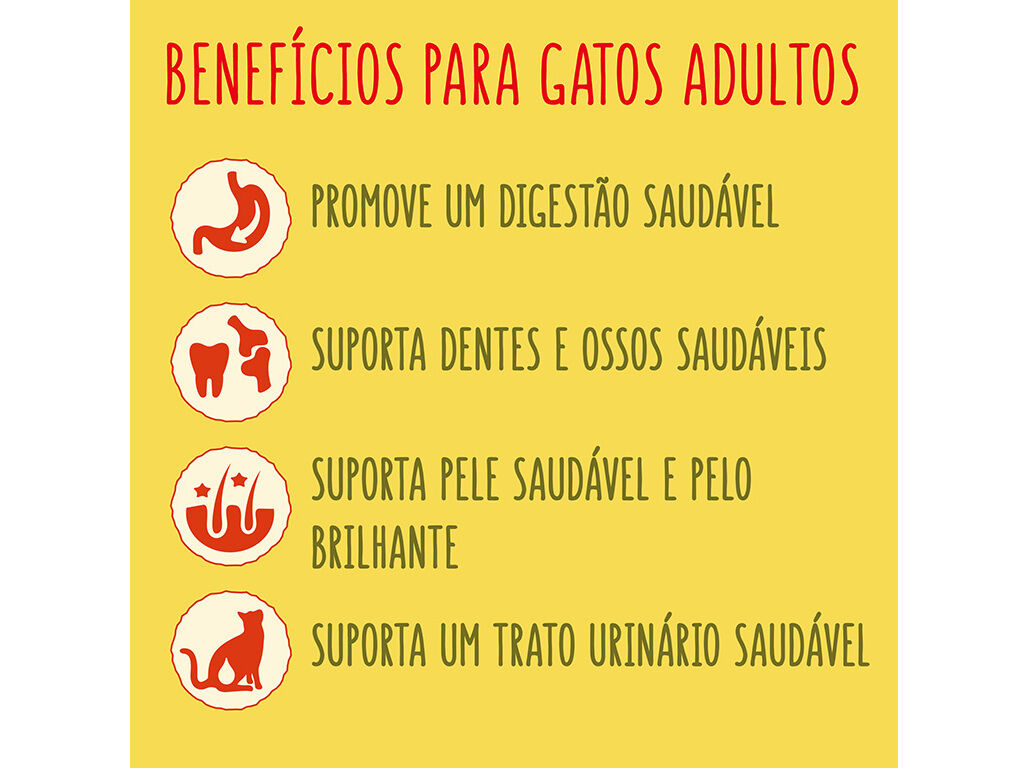 RA&Ccedil;&Atilde;O GATO FRISKIES SALM&Atilde;O 4KG image number 2