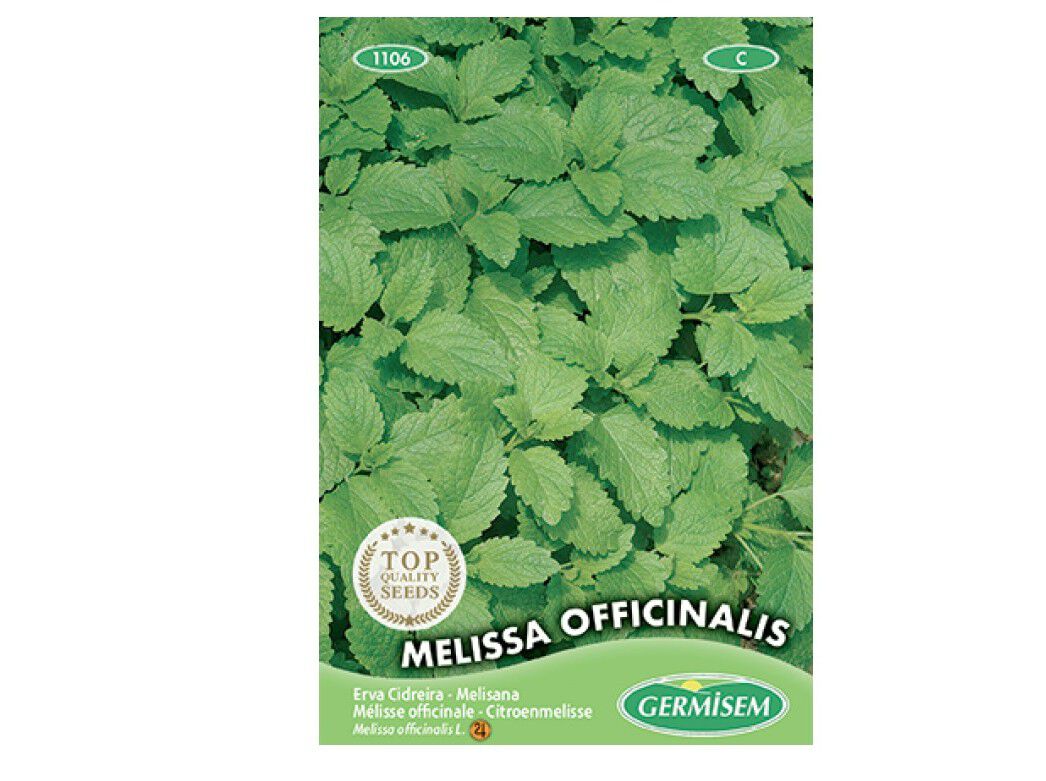 SEMENTES SOMELITE ERVA CIDREIRA image number 1