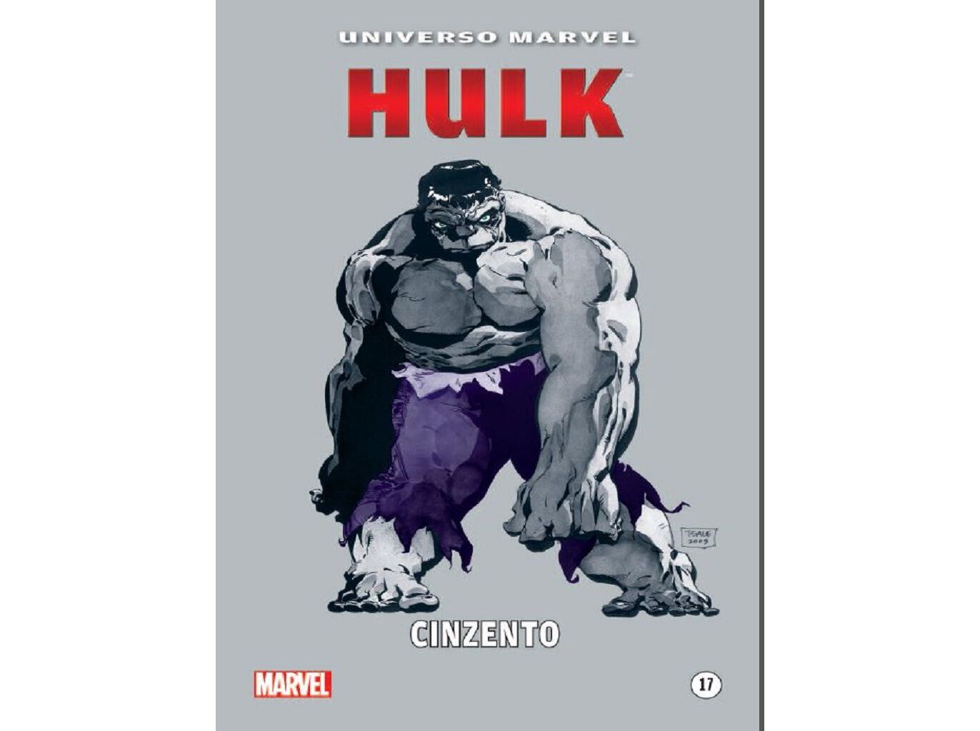 LIVRO HULK - CINZENTO image number 0