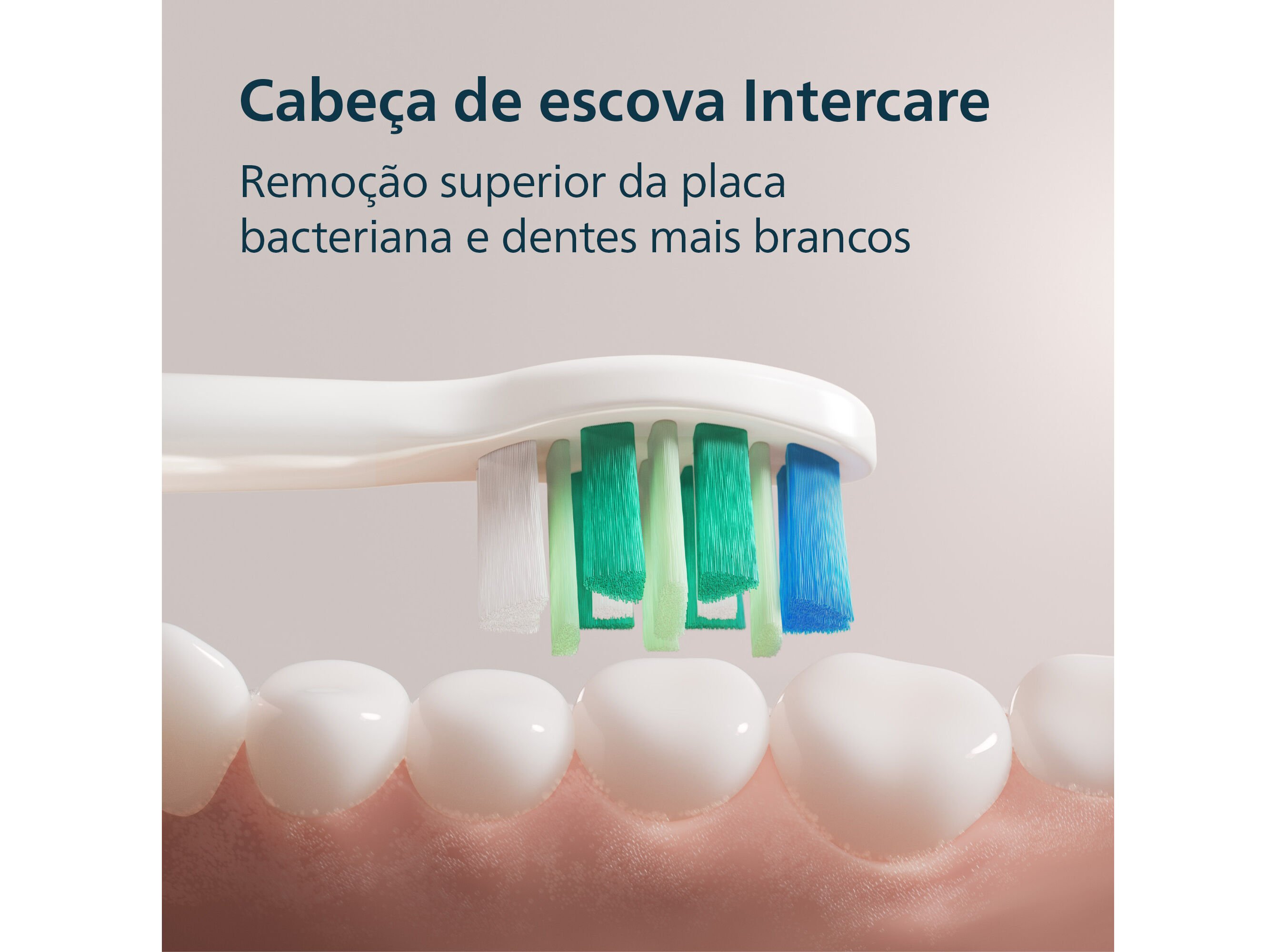 ESCOVA DENTES PHILIPS HX4021/02 SONICARE image number 5