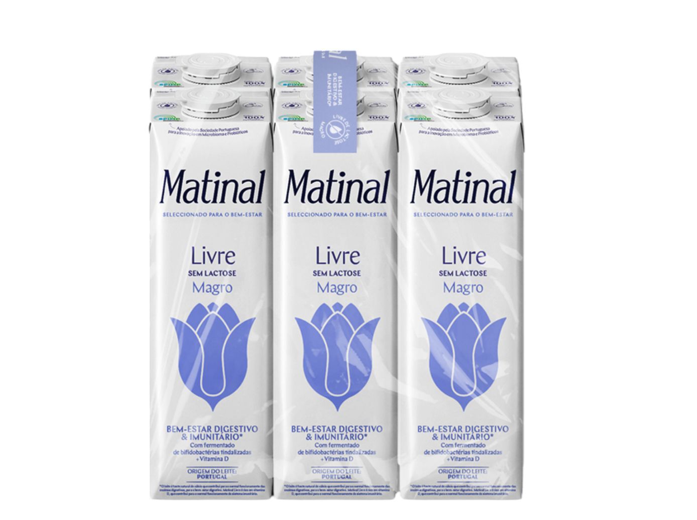 LEITE S/ LACTOSE MATINAL MAGRO LIVRE 6X1L image number 1